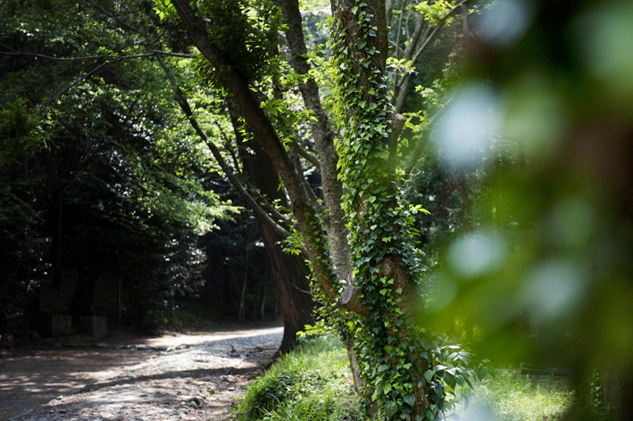 f0112087_1404149.jpg