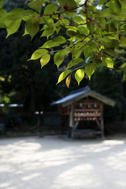 f0112087_1412746.jpg