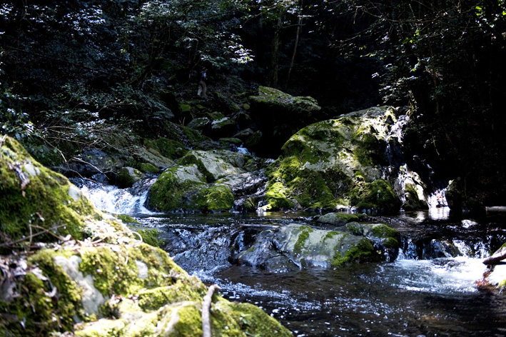 f0112087_14245923.jpg