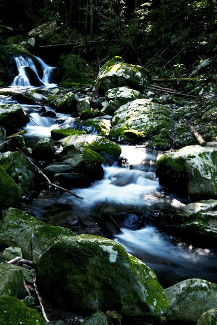 f0112087_14255657.jpg