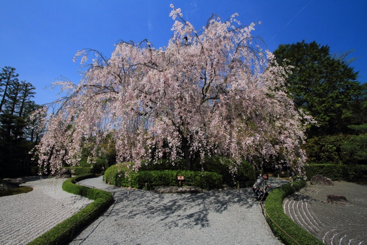 e0051888_22201414.jpg