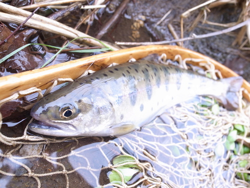 b0178889_1252550.jpg