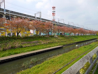 e0121589_18584037.jpg