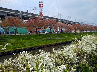 e0121589_18592289.jpg