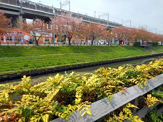 e0121589_190030.jpg