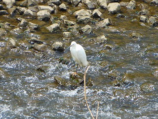 e0121589_1904515.jpg