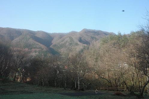 c0123890_19511275.jpg