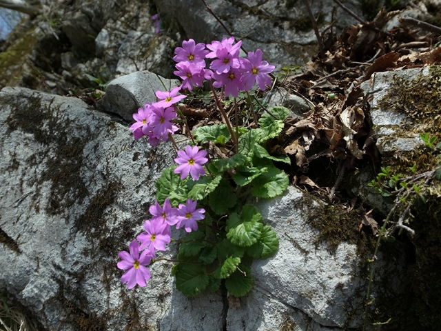 e0271890_003881.jpg