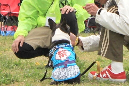 e0229992_15282769.jpg