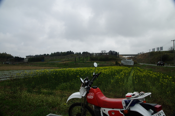 e0206394_1622529.jpg