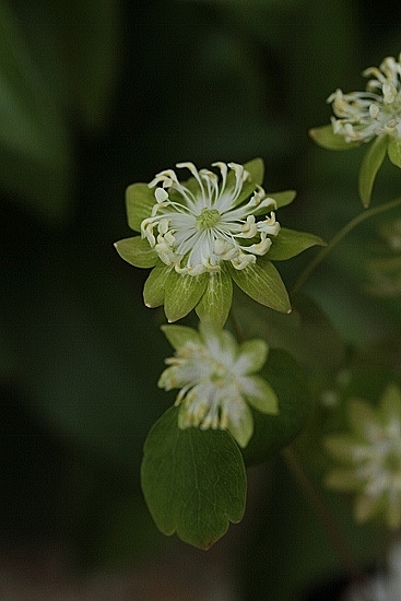 e0209997_9161136.jpg