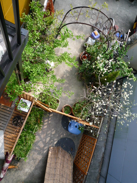 c0220700_17364244.jpg
