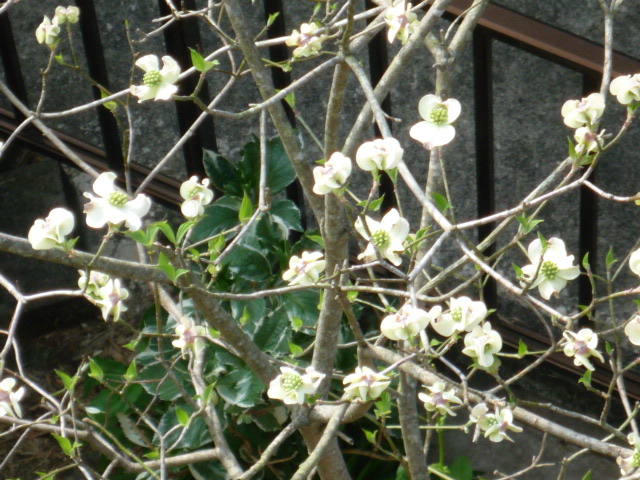 c0220700_17381266.jpg