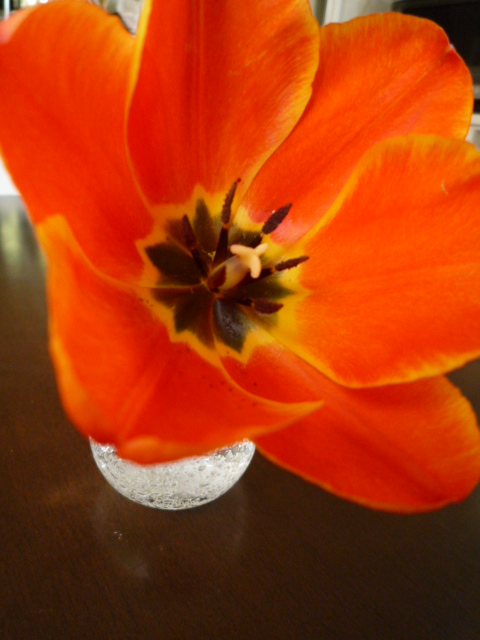 c0220700_17475780.jpg