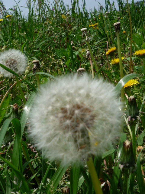c0220700_1753474.jpg
