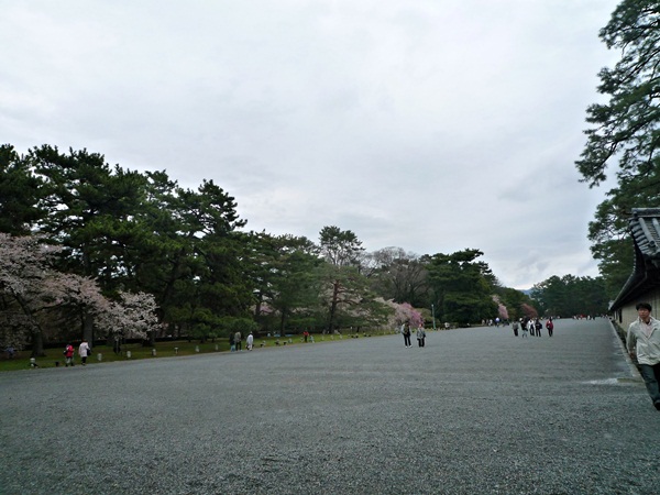 d0057701_1353993.jpg
