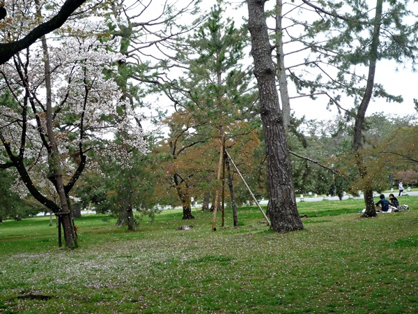 d0057701_14594340.jpg