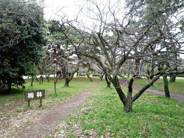 d0057701_15103357.jpg