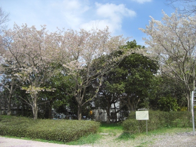 c0132205_2254165.jpg