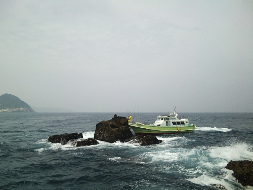 d0102007_1356574.jpg
