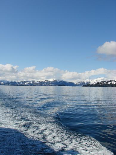 d0251307_152273.jpg