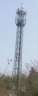 e0125014_9442074.jpg