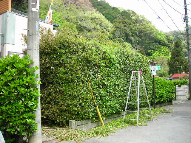 b0096418_18145184.jpg