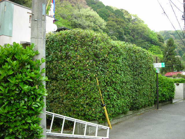 b0096418_18172728.jpg