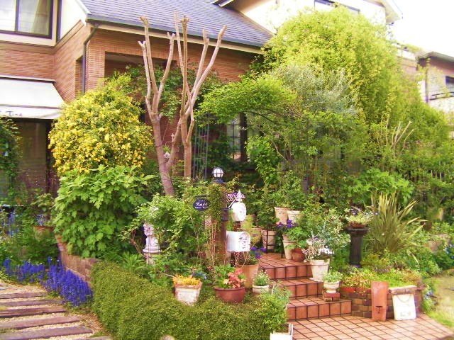 c0204121_850259.jpg