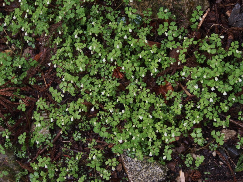 c0085622_22432936.jpg