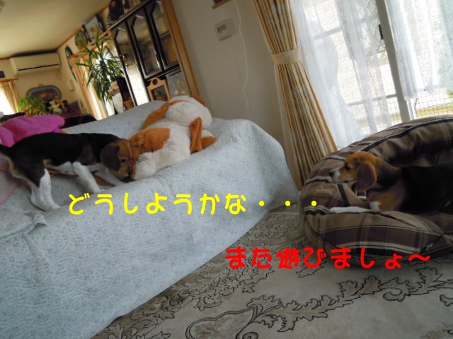 c0166622_20472660.jpg