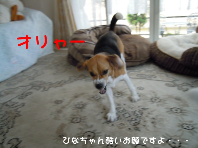 c0166622_2047333.jpg