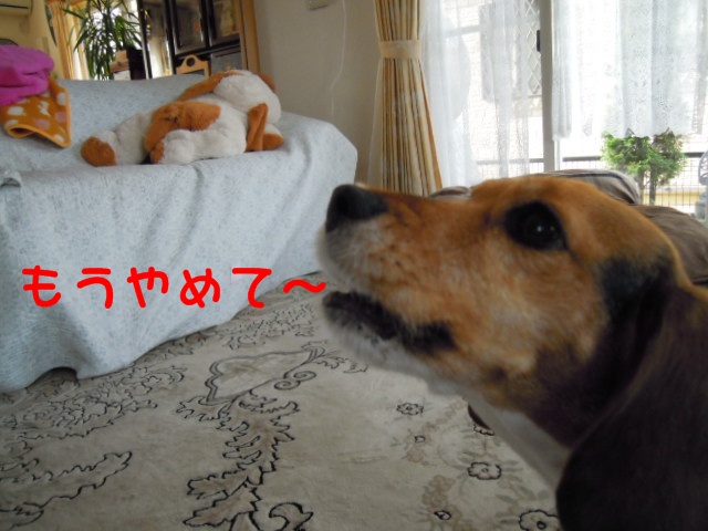 c0166622_2047596.jpg