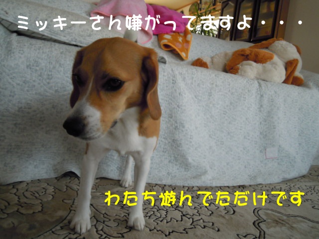 c0166622_20481745.jpg