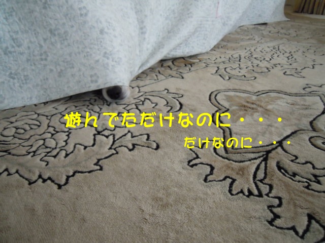 c0166622_20483496.jpg