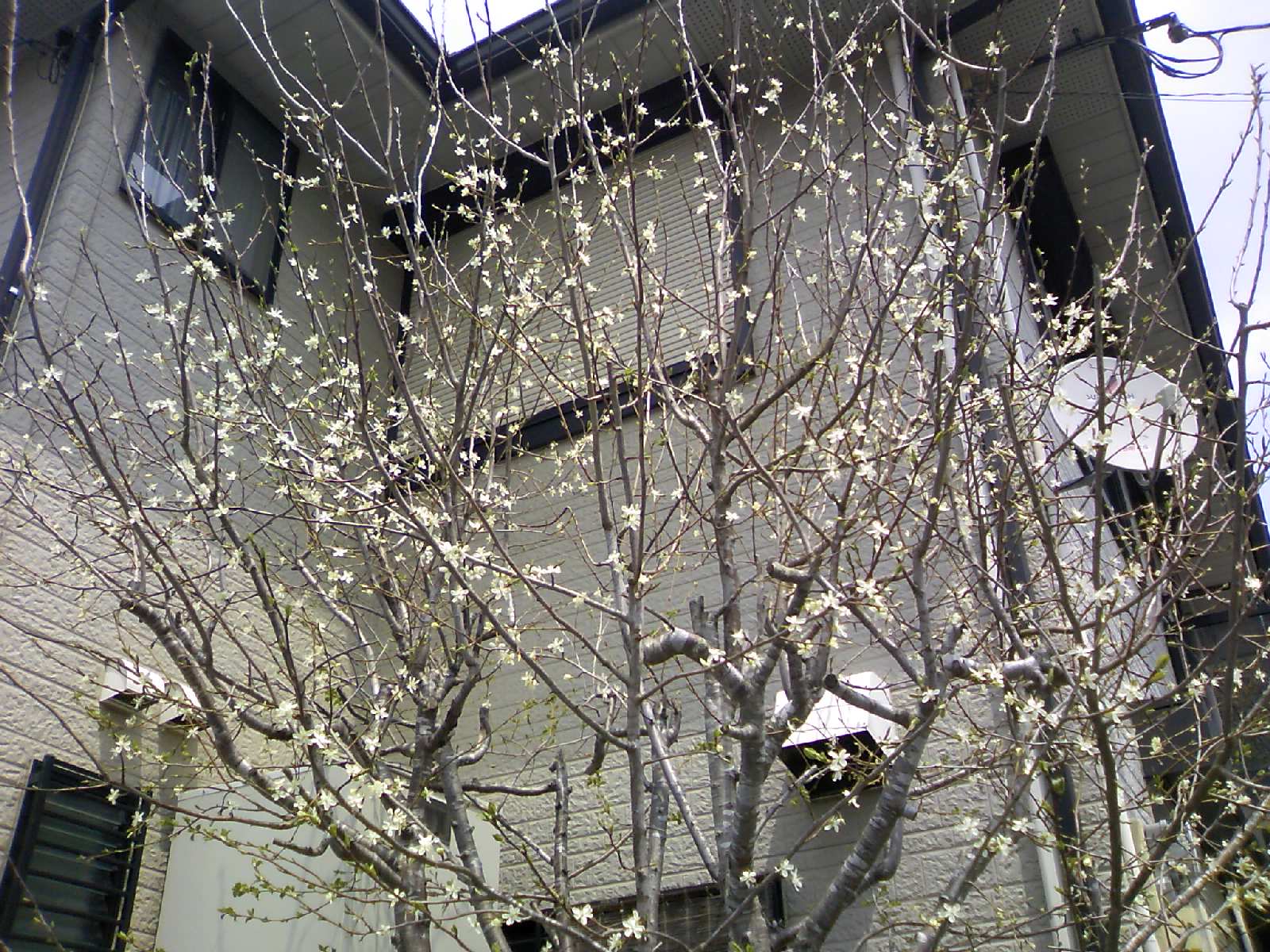 b0211924_17162745.jpg