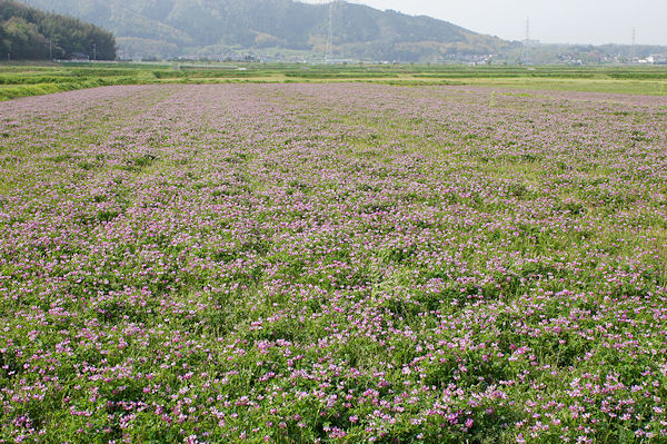 f0007926_11121875.jpg
