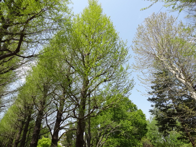 e0016828_1429560.jpg