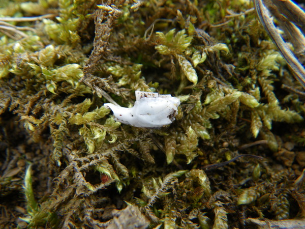 f0118332_0411632.jpg