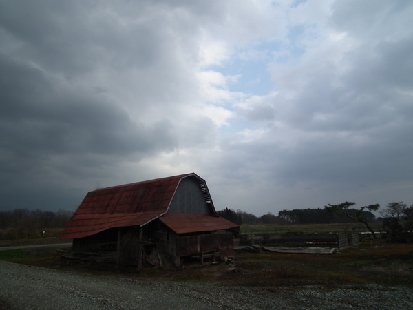 f0118332_0444939.jpg