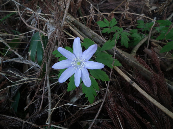 f0118332_0512725.jpg