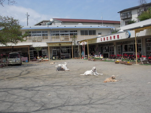 c0114833_21162859.jpg
