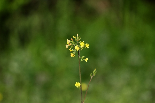 a0242438_19192447.jpg