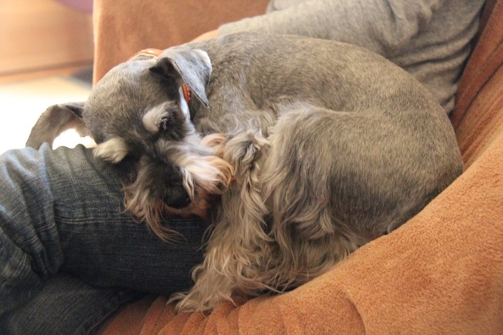 c0153740_13057.jpg