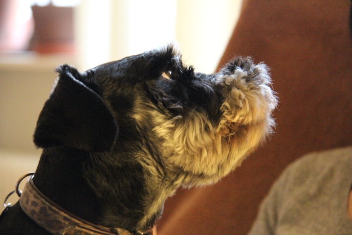c0153740_141299.jpg