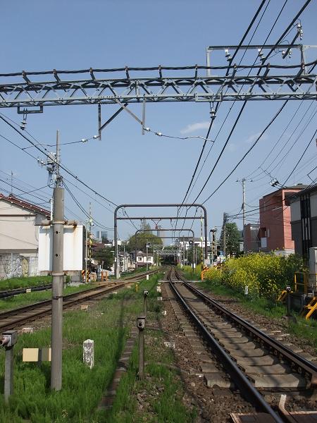 d0061040_1192357.jpg