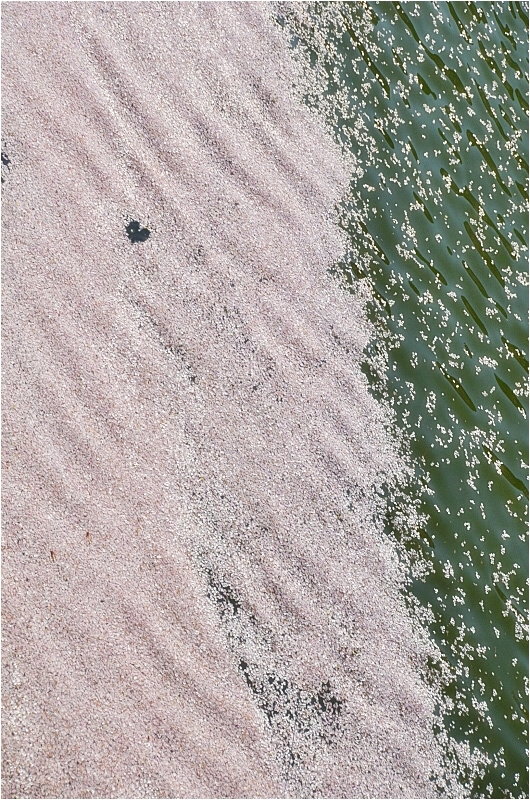 c0095342_21253527.jpg