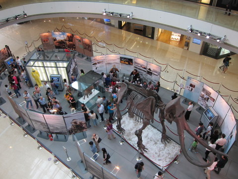 e0018143_246121.jpg