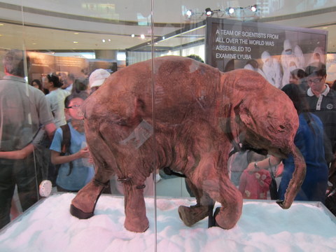 e0018143_247549.jpg