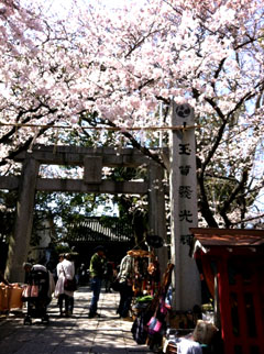 f0075847_1556739.jpg
